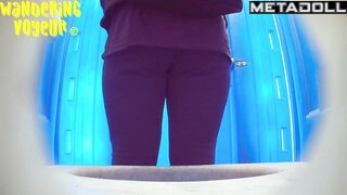 Wandering Voyeur - Beach Bio Toilet Series 381