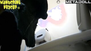 Wandering Voyeur - Mall Toilet Series 561