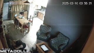 Sweet British brunette mom sucks old cock and got cum