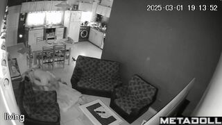 Married couple having sex brutally in their bed real spy cam
