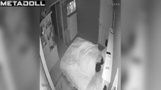 Two adult people fucking in the midnight, hidden cam