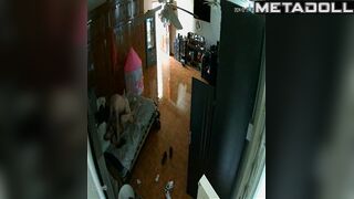 Couple wants to cum at the same time, bedroom scenes