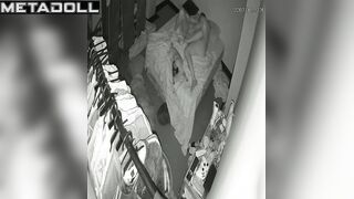 They fucking on the bed beside their cute fluffy friend