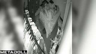 They fucking on the bed beside their cute fluffy friend