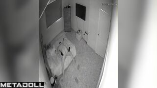 Perfect oral sex between two lovers / check this out