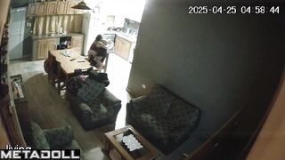 People enjoying each other on the kitchen chair right now