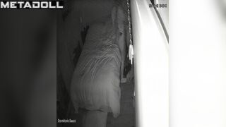 Passionate night sex in white clean socks, hidden tape