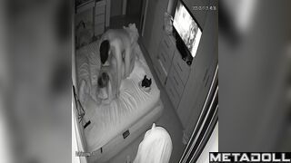 Boyfriend and girlfriend enjoying oral sex during tv watching