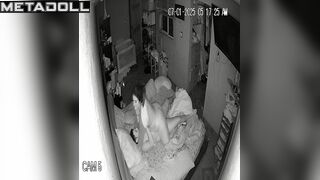 They want to please each other quick (bedroom video)