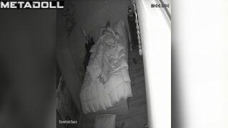 Sexy couple enjoying their first night, watch it now