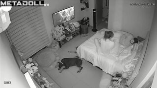 He interrupted watching TV with cunnilingus, look now