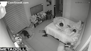 He interrupted watching TV with cunnilingus, look now