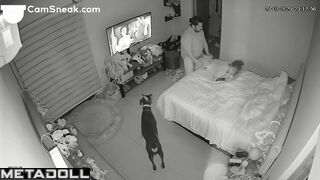 He interrupted watching TV with cunnilingus, look now