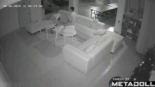 Sexual entertainment of a young couple on a large sofa