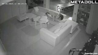 Sexual entertainment of a young couple on a large sofa