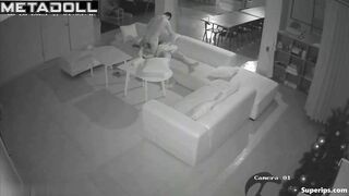 Sexual entertainment of a young couple on a large sofa