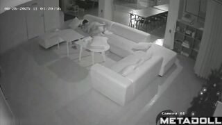 Sexual entertainment of a young couple on a large sofa