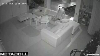 Sexual entertainment of a young couple on a large sofa