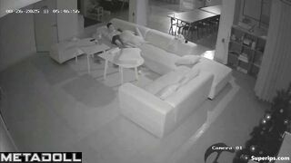 Sexual entertainment of a young couple on a large sofa