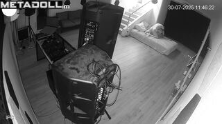 Sex in the living room was regular, but they really enjoyed it