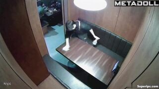 Asian cuties kissed sweetly in an expensive restaurant