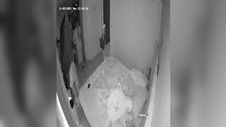  Voyeurism