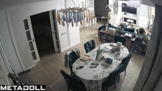 Friends recently installed a camera in their living room