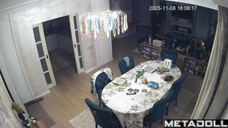 Friends recently installed a camera in their living room