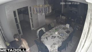 Friends recently installed a camera in their living room