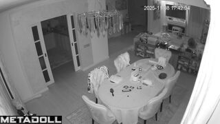 Friends recently installed a camera in their living room