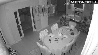 Friends recently installed a camera in their living room