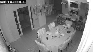 Friends recently installed a camera in their living room