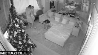 They danced slowly near the Christmas tree and then fucked