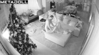 They danced slowly near the Christmas tree and then fucked