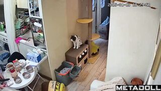  Voyeurism