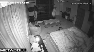 Sex toys were a must in their bed (spy hidden camera)